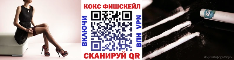 закладка  Киселёвск  Cocaine Fish Scale 