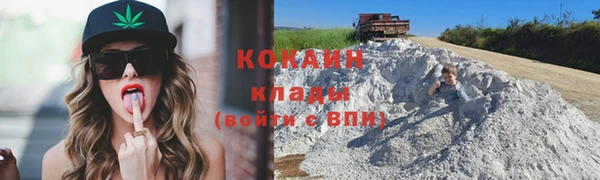 гашик Каменка