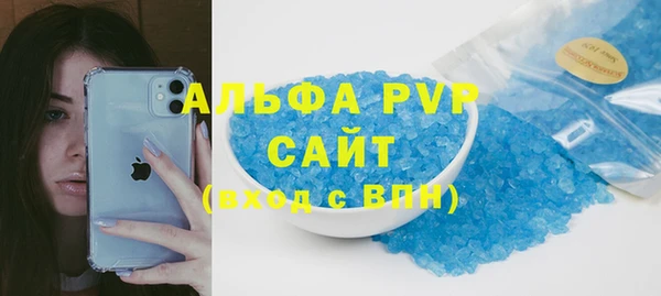 гашик Каменка