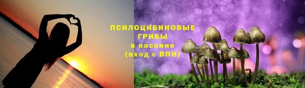 мескалин Инта