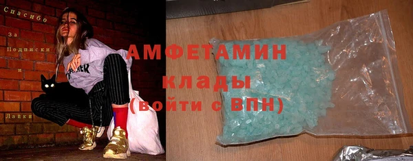 гашик Каменка