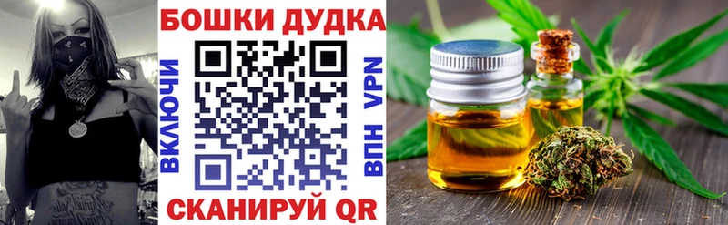 Конопля гибрид  Киселёвск 